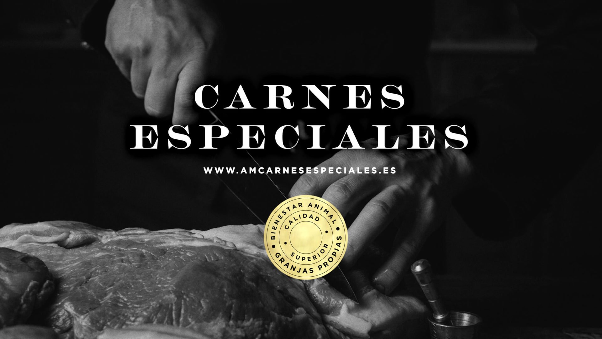 fotografía-cocinando-carne-alejandro-miguel